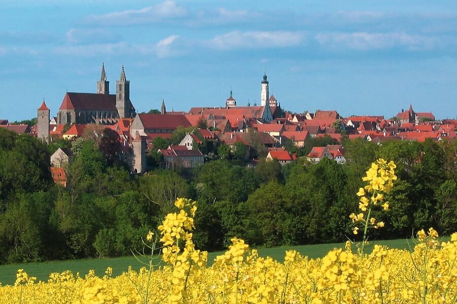 From Frankfurt: Rothenburg ob der Tauber Wine Tour - Würzburg Pass-By and the Residence UNESCO Photo Stop