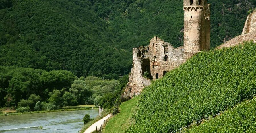 From Rüdesheim: 1.5-Hour Boat Cruise with Wine Tasting - Key things to know before you go