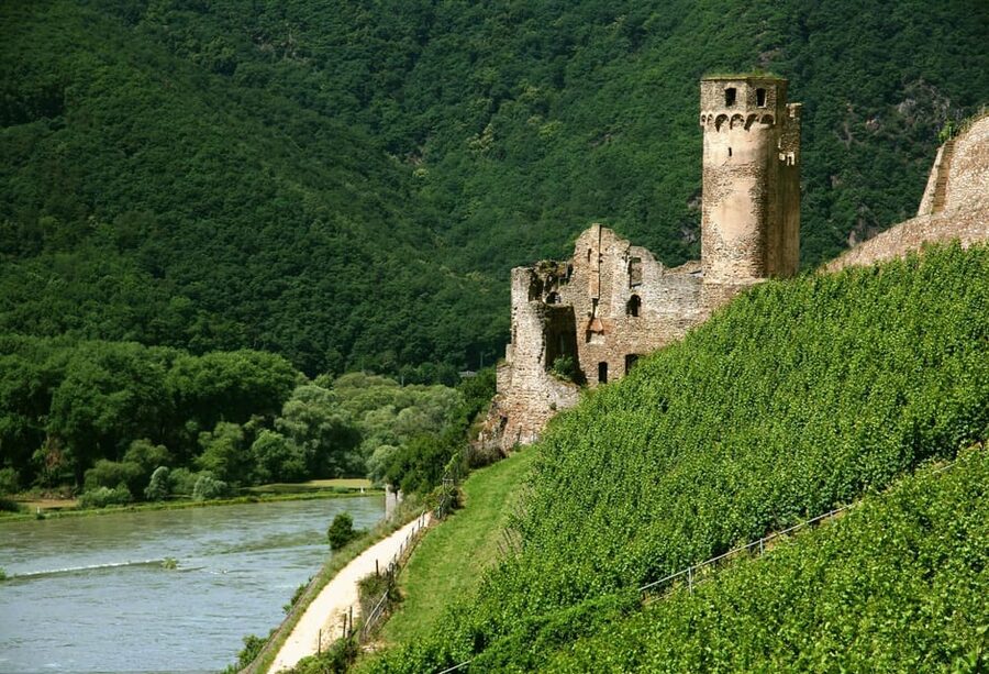 From Rüdesheim: 1.5-Hour Boat Cruise with Wine Tasting - Assmannhausen red wine and the Rüdesheim to Bingen stretch