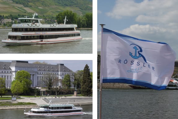 From Rüdesheim: 1.5-Hour Boat Cruise with Wine Tasting - Why the Middle Rhine feels different from the boat