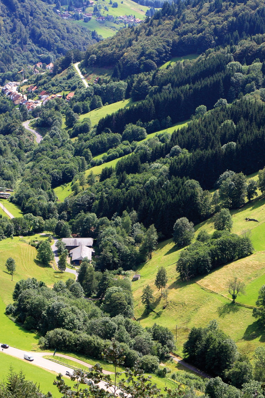 From Strasbourg: Black Forest and Baden Baden Day Trip - Meeting in Strasbourg and crossing into Germany with your passport