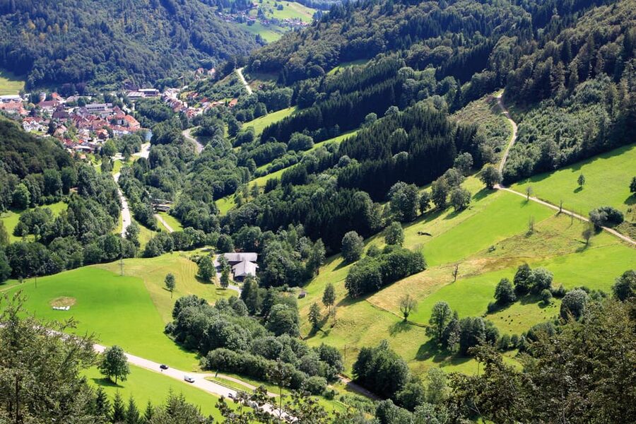 From Strasbourg: Black Forest and Baden Baden Day Trip - What the small-group pace gets you, and what it costs