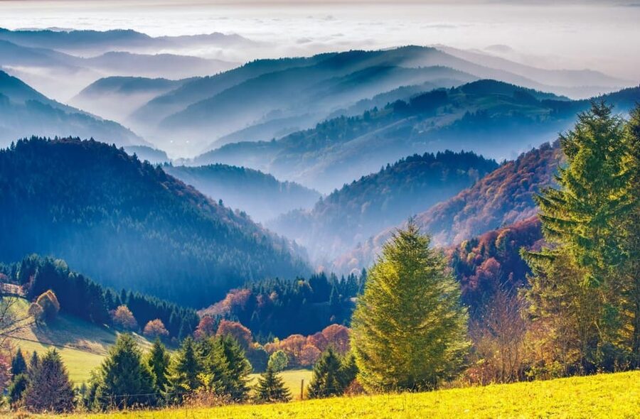 From Strasbourg: Black Forest and Baden Baden Day Trip - Price and value: what $253 covers from Strasbourg