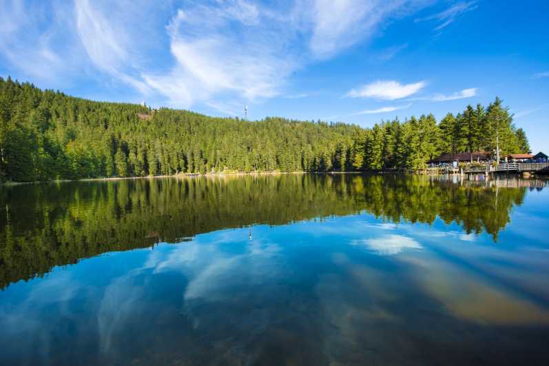 From Strasbourg: Black Forest and Baden Baden Day Trip - Guides and guidance: what you should look for on this route