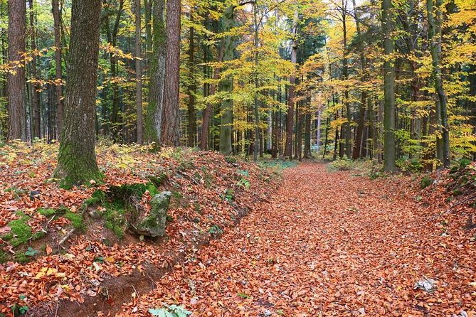 Fünf Seidla Steig ® Beer Hike Food Experience Private Tour (departs Nuremberg) - Getting There and Getting Back Without Stress