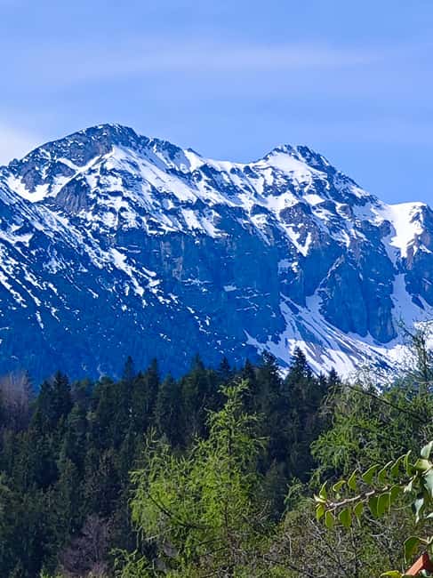 Füssen to Neuschwanstein Castle - Guided Scenic Tour - Neuschwanstein from the best directions, through the trees