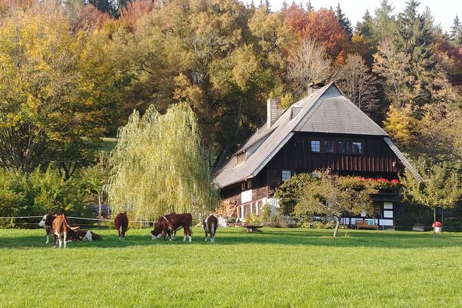 Guided tasting of Cider - What You Taste: Sparkling Fruit Drinks From Their Own Production