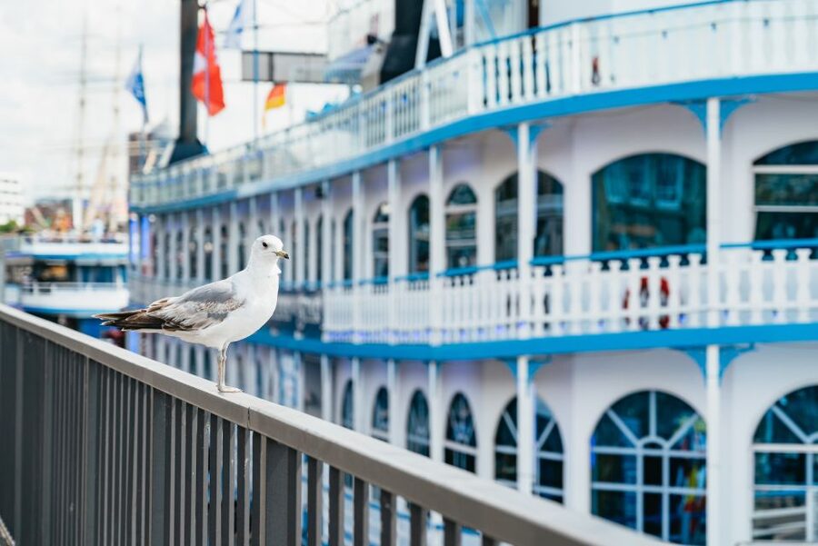 Hamburg: 1-Hour Harbor Sightseeing Cruise with HafenCity - Key things I’d circle before you go