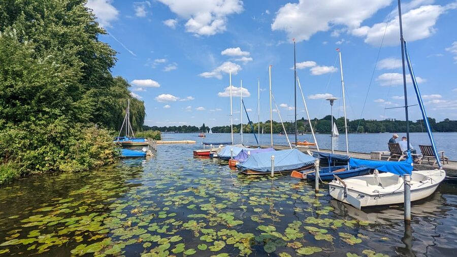 Hamburg among friends - Van tour - Key things you should know before you go