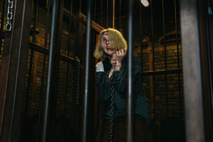 Hamburg: Hamburg Dungeon Admission Ticket - Who this is best for: age fit, nerves, and language reality