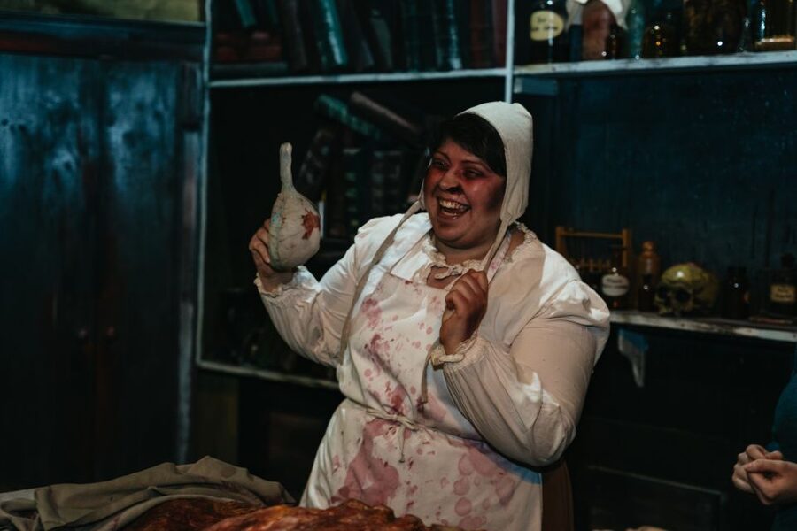 Hamburg: Hamburg Dungeon Admission Ticket - Price and value: is $33 for one hour a fair trade?