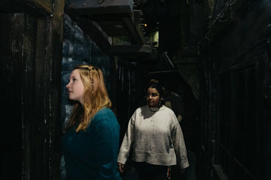 Hamburg: Hamburg Dungeon Admission Ticket - Should you book the Hamburg Dungeon?