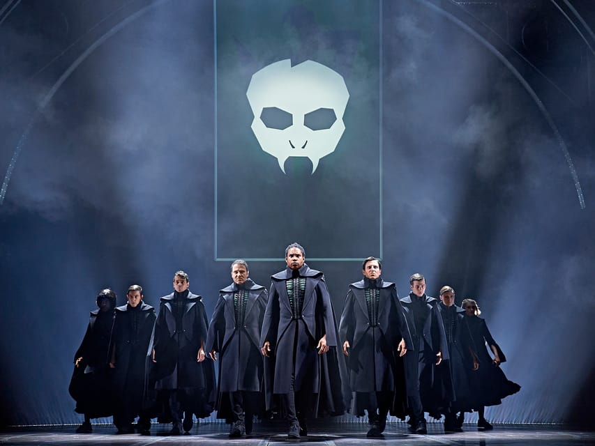 Hamburg: Harry Potter and the Cursed Child Theater - Who this is best for