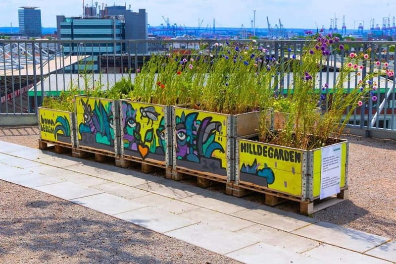 Hamburg: St. Pauli Green Bunker Tour in German - Rooftop garden design: plant life, accessible green, and ecological thinking