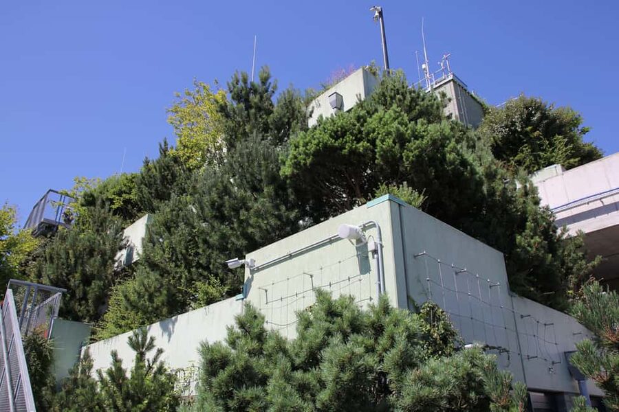 Hamburg: St. Pauli's "Green Bunker" Tour – above the rooftops of Hamburg - Price and value: $14 for a guided hour that connects the dots