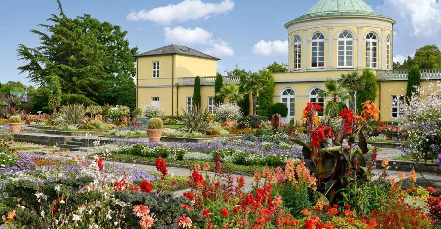 Hannover: Guided tour of the Berggarten - Berggarten in Hannover, a greenhouse tour that doesn’t waste your time