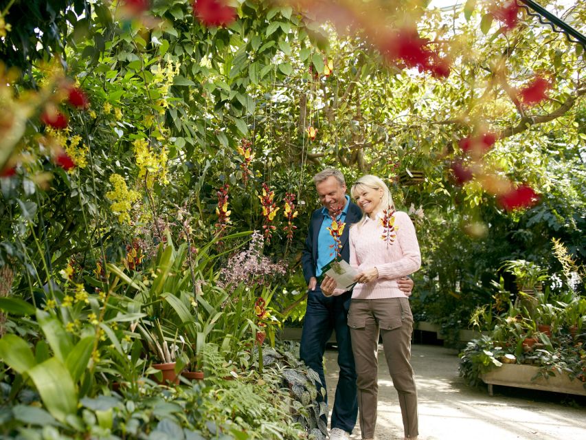 Hannover: Guided tour of the Berggarten - How the 1.5-hour guided format works