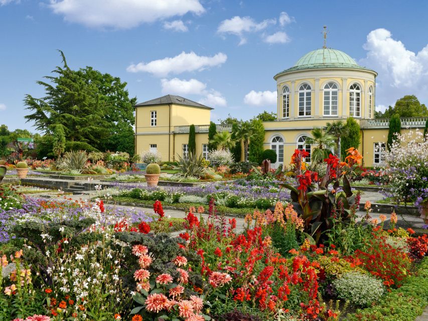 Hannover: Guided tour of the Berggarten - What you’ll see: 800 flowering orchids and more than 12,000 species