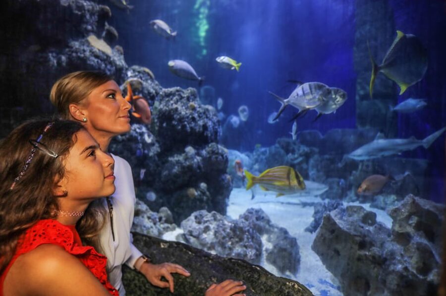 Hanover: SEA LIFE Entry Ticket - SEA LIFE Hannover at Herrenhäuser Gärten: what your ticket actually buys