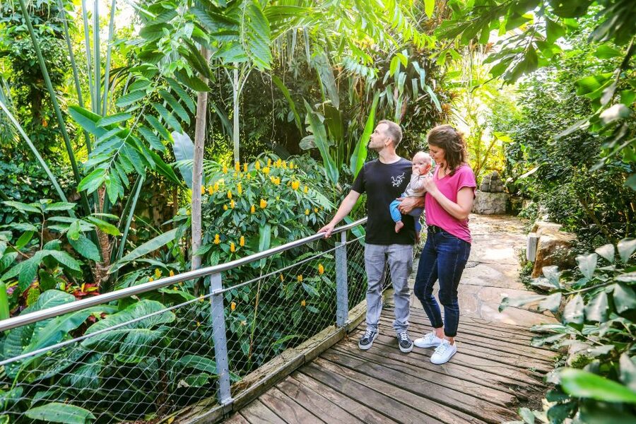 Hanover: SEA LIFE Entry Ticket - Timing, crowds, and why your visit length can vary a lot