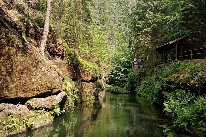Hassle-free Bohemian & Saxon Switzerland Trip from Dresden - The van ride: AC, Wi-Fi, and small-group comfort