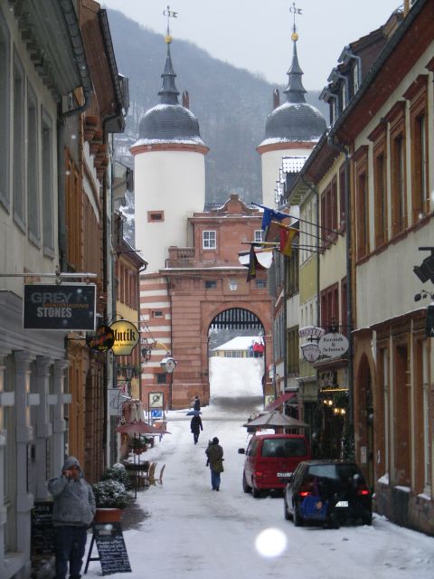 Heidelberg: 2-Hour Crime Tour with Costumed Guide - Who should book this Heidelberg crime tour