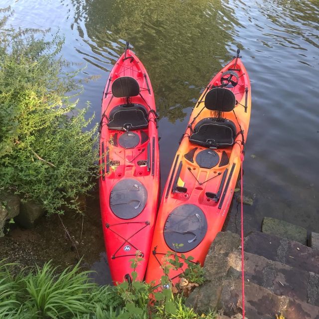 Heidelberg: 2-Hour Kayak Tour - Singles and doubles: choosing the right kayak setup