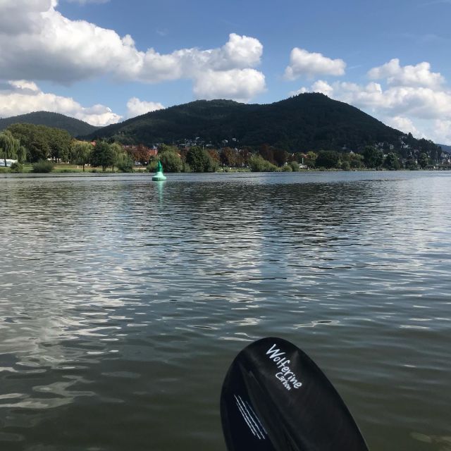 Heidelberg: 2-Hour Kayak Tour - Getting set up at the grassy meeting point by the water