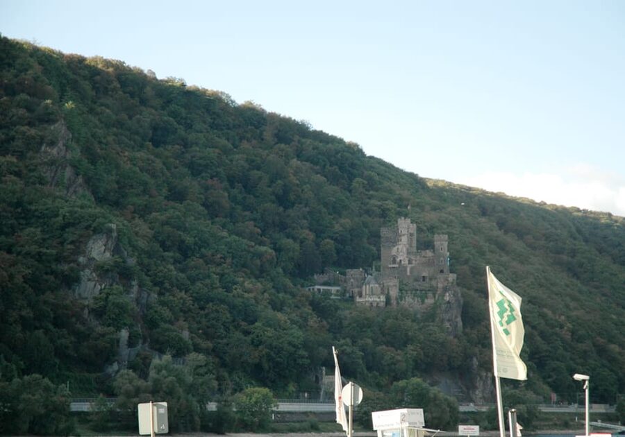 Heidelberg and Rhine Combination Tour from Frankfurt - Should You Book the Heidelberg and Rhine Combination Tour?