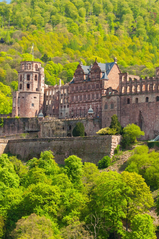 Heidelberg and Rhine Combination Tour from Frankfurt - Getting From Frankfurt to Heidelberg: Timing and Energy Management
