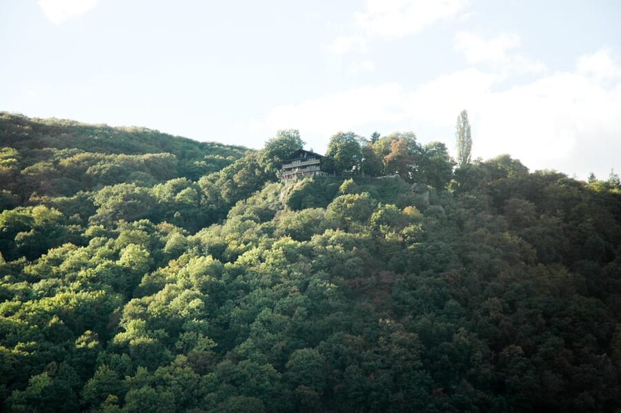 Heidelberg and Rhine Combination Tour from Frankfurt - Wine Tasting and Dinner by the River: Where the Day Feels Worth It