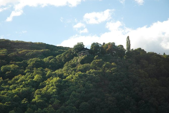 Heidelberg and Rhine Valley Day Trip With Wine Tasting and Dinner from Frankfurt - Price and Value at $309.93: What You’re Actually Buying