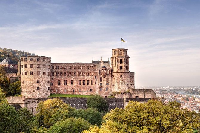 Heidelberg and Rothenburg Day Trip from Frankfurt - Museums and Christmas shopping time: how to use your free hours well