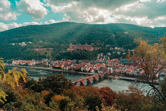 Heidelberg Castle and City Day Tour from Frankfurt - Key highlights worth prioritizing