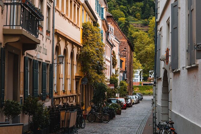 Heidelberg Castle and City Day Tour from Frankfurt - Price and value: what $151.23 buys you, and what it does not