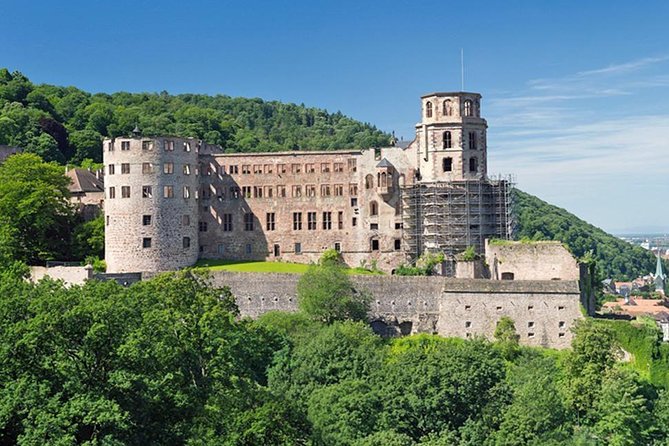 Heidelberg Castle and Old Town Tour from Frankfurt - How the timing works in a half-day plan (and where you might feel rushed)