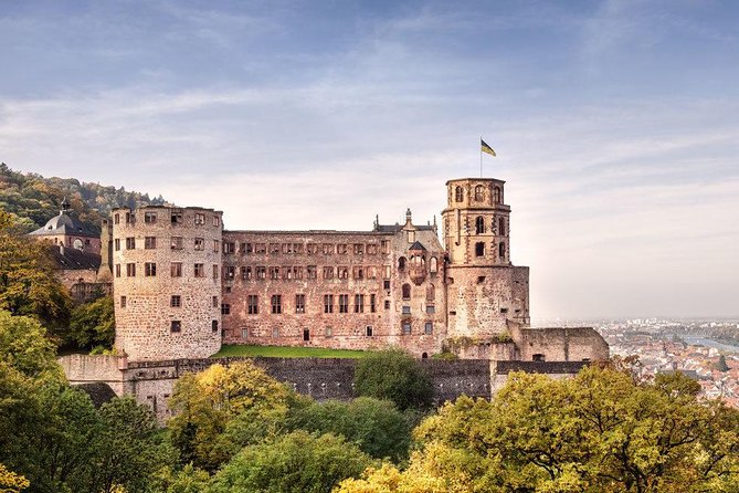 Heidelberg Castle and Old Town Tour from Frankfurt - Neckar River photo moments and the shift from fortress to city streets