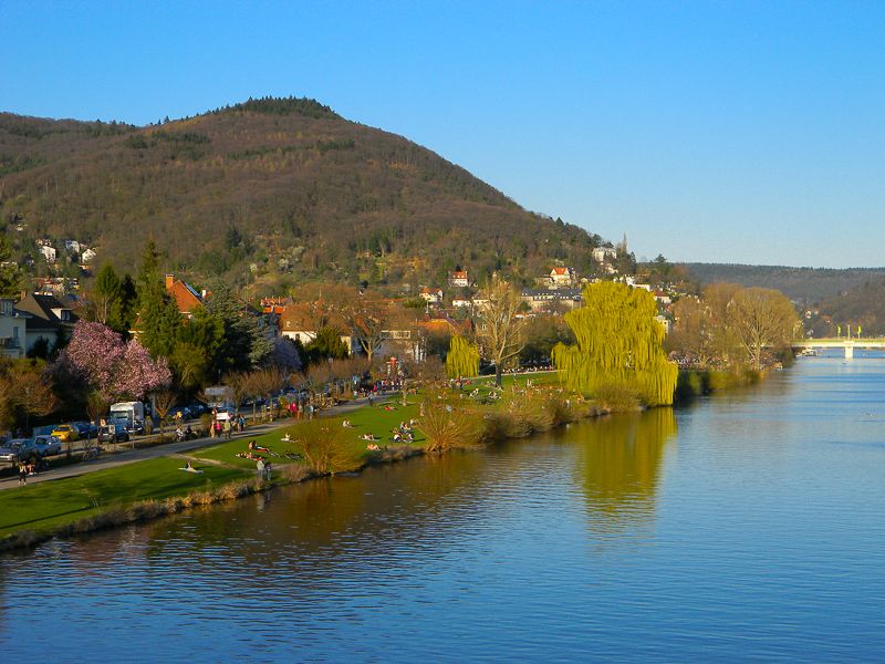 Heidelberg Castle Tour: Residence of the Electors - Bushel Terrace Views, and Why This Stop Matters More Than a Photo