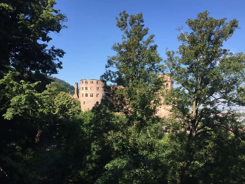 Heidelberg: Discover Heidelberg Castle – experience history up close - Pharmacy Museum adds a surprise layer to the day