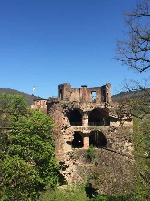 Heidelberg: Discover Heidelberg Castle – experience history up close - Price and value: $46 for a tight 2-hour route