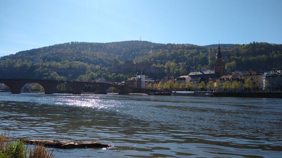 Heidelberg: Guided Bike Tour - Key highlights you should know before you ride