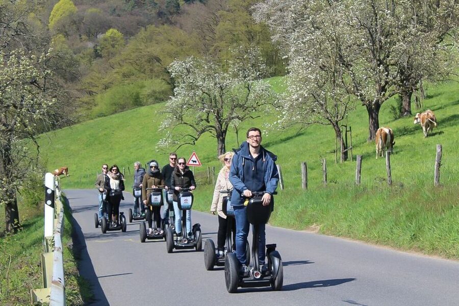 Heidelberg Highlights Segway Tour with Castle - Key Highlights Worth Planning For