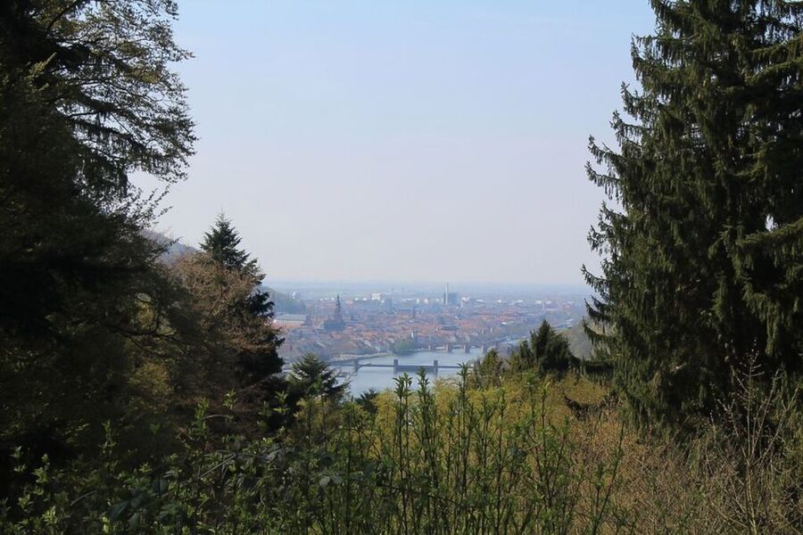 Heidelberg Highlights Segway Tour with Castle - The Old Bridge Ride and the Neckar Setup