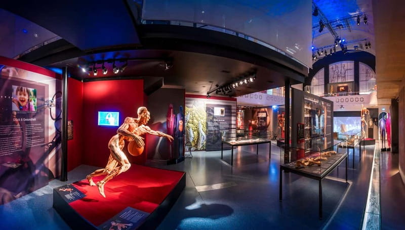 Heidelberg: KÖRPERWELTEN Museum Entry Ticket - Key things to know before you go