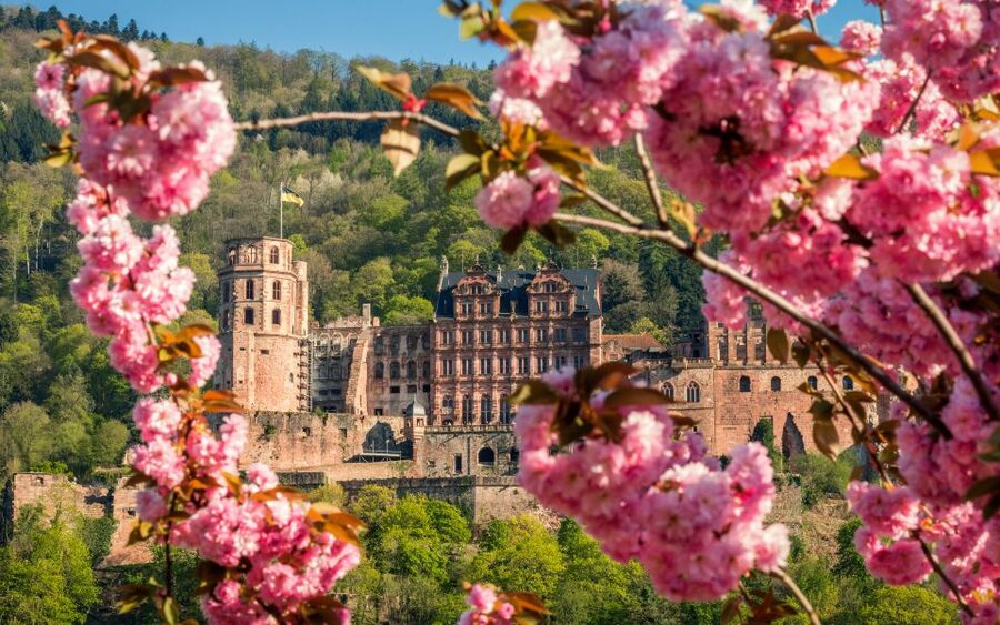 Heidelberg: Sightseeing Bus and Castle Tour - Key highlights to watch for