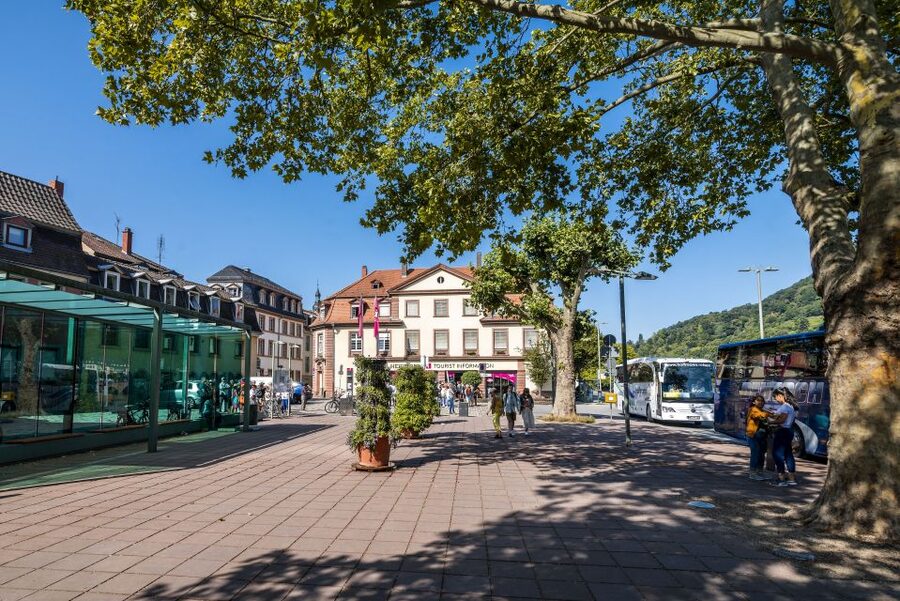 Heidelberg: Sightseeing Bus and Castle Tour - Heidelberg Castle grounds: what to focus on when you arrive