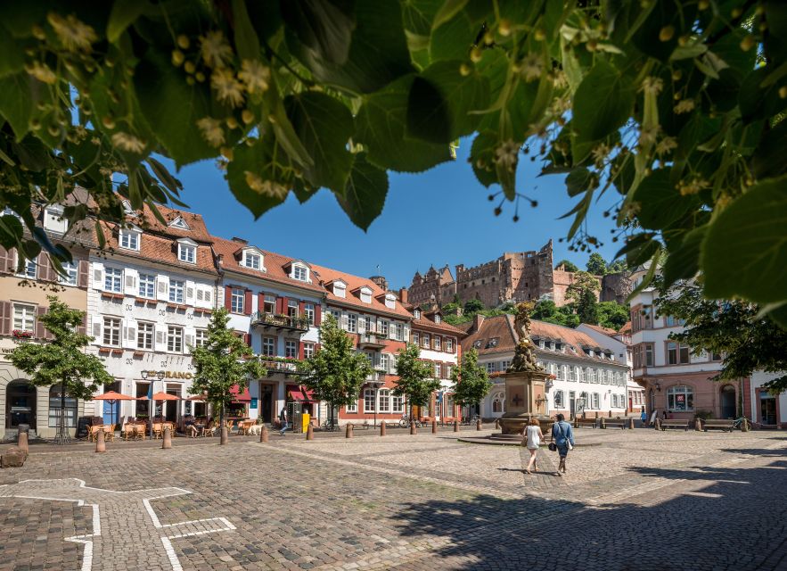 Heidelberg: Walking Tour of the Old Town - Key Highlights You Should Aim For