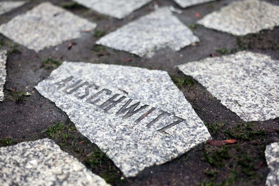 Hitler’s Germany: Berlin During the Third Reich & WWII - Topography of Terror and the value of a focused museum break