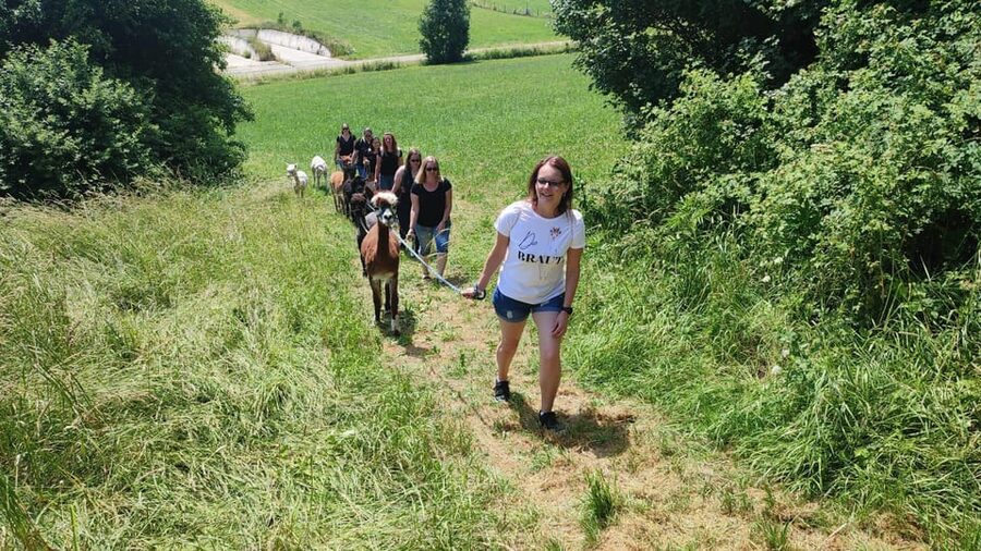 Jettingen-Scheppach: Alpaca hike through the Mindeltal - What’s Included, and Why It’s Better Than a Quick Photo Stop