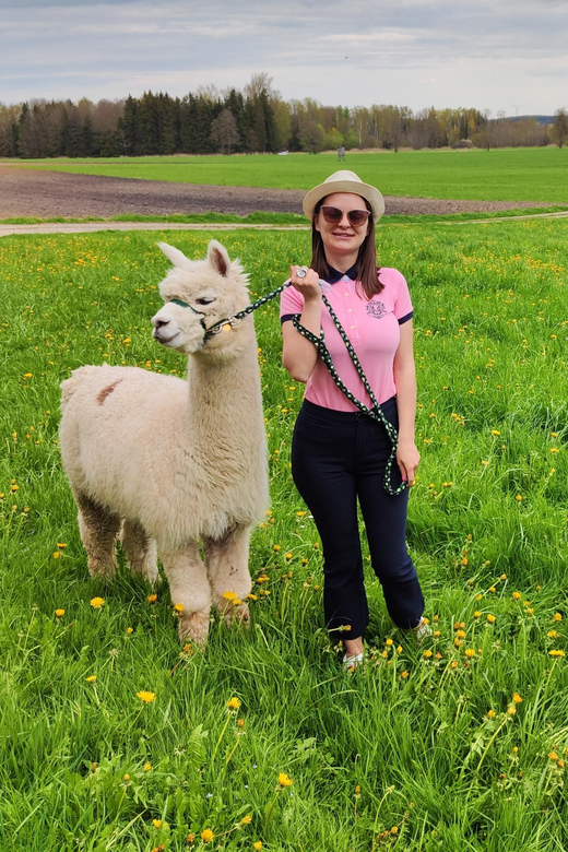 Jettingen-Scheppach: Alpaca hike through the Mindeltal - What to Bring (And What to Skip) So It Stays Fun